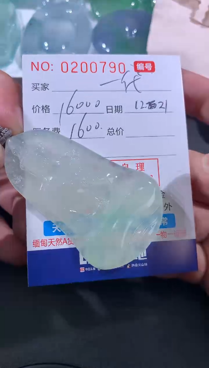 【闪购商品】翡翠颈饰未镶嵌一