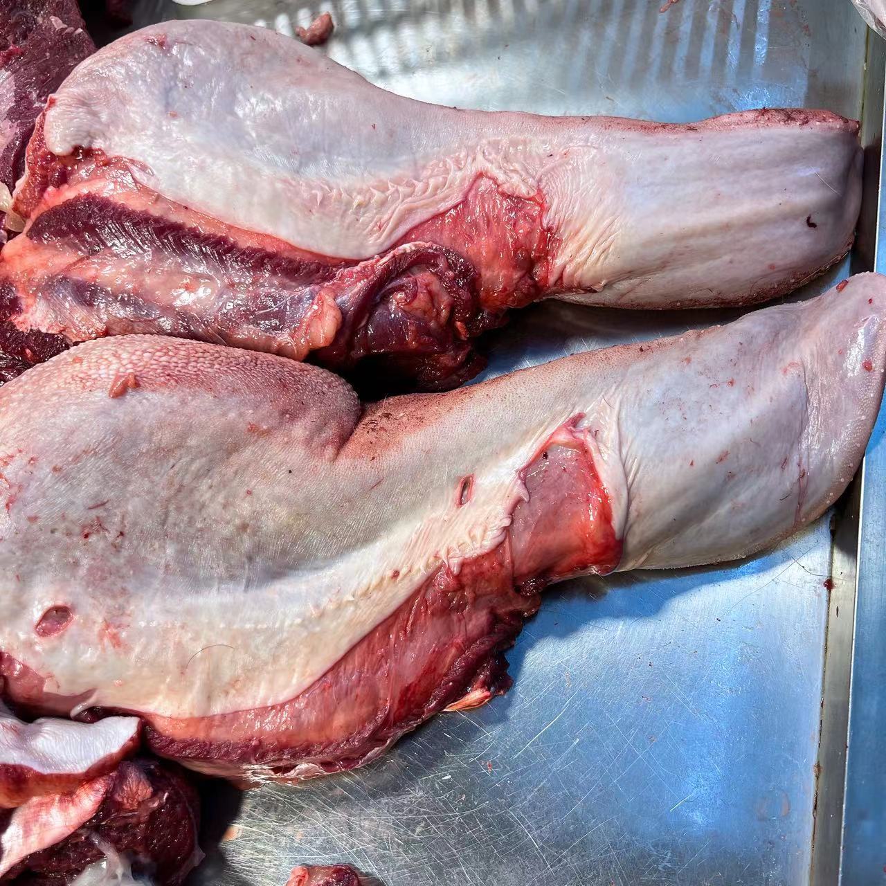 牛舌一条现称现拍