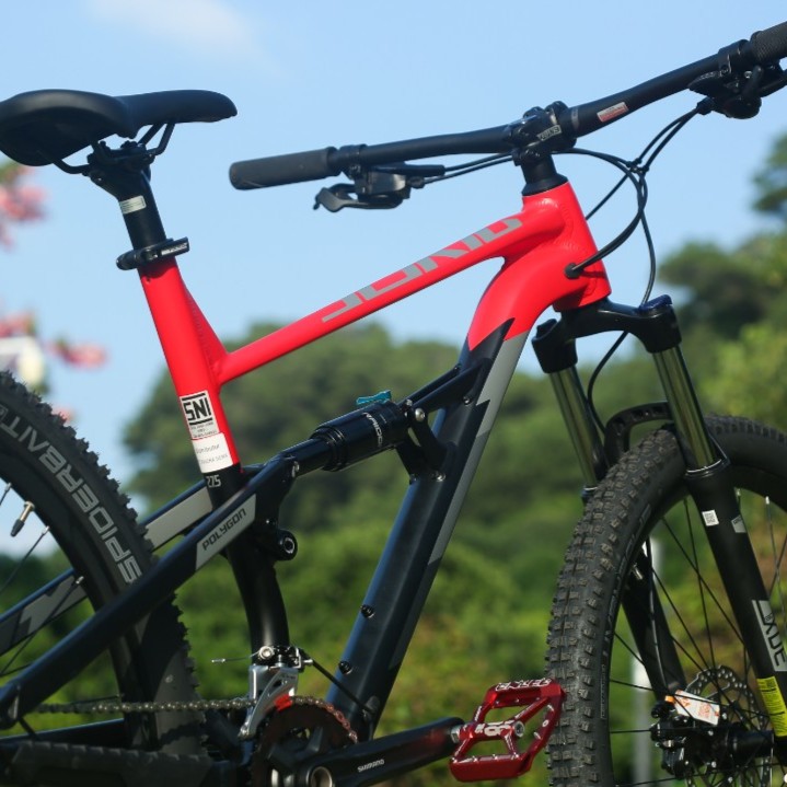 POLYGON D5进口软尾山地车AM速降Enduro全地形山地车碟刹车架前叉