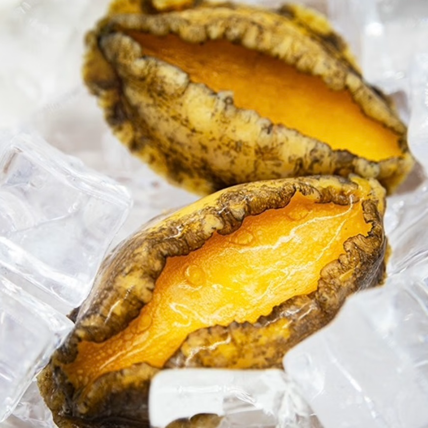 【鲜冻】4头鲍鱼手剥纯肉12颗 约520克-540克之间每包 连云港发货