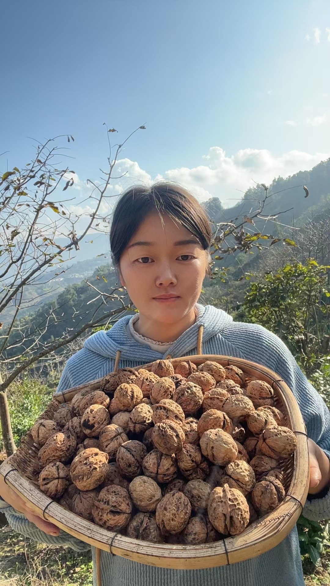 2025年云南老树薄皮干核桃孕妈妈必备