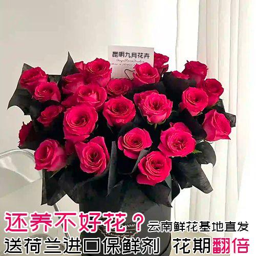 花养不好送荷兰进口保鲜剂花期翻倍云南玫瑰鲜花基地直发室内水培