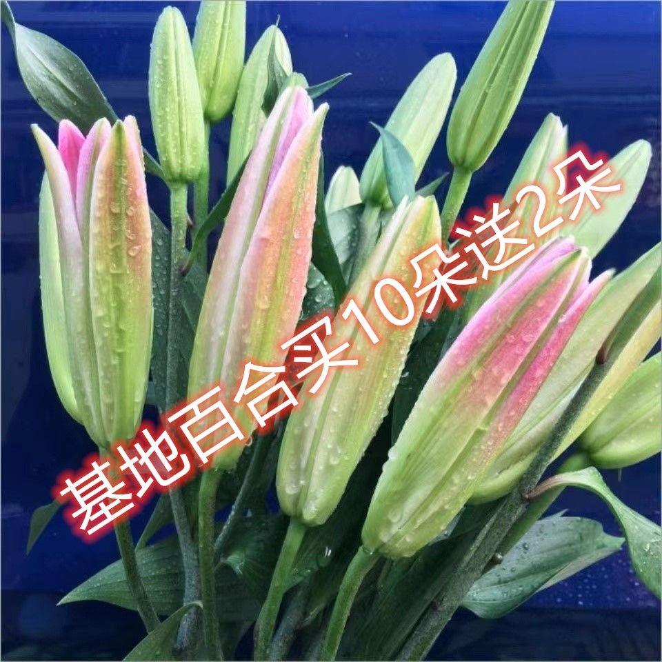 鲜花花束云南昆地直发香水百合花速递同城多头玫瑰生日情人节