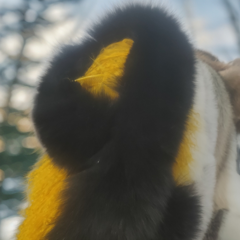 狐狸毛双面毛围脖！冬天必备衣服的灵魂伴侣，