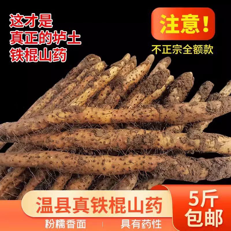温县垆土地铁棍山药 怀山药新鲜山药铁棍山药