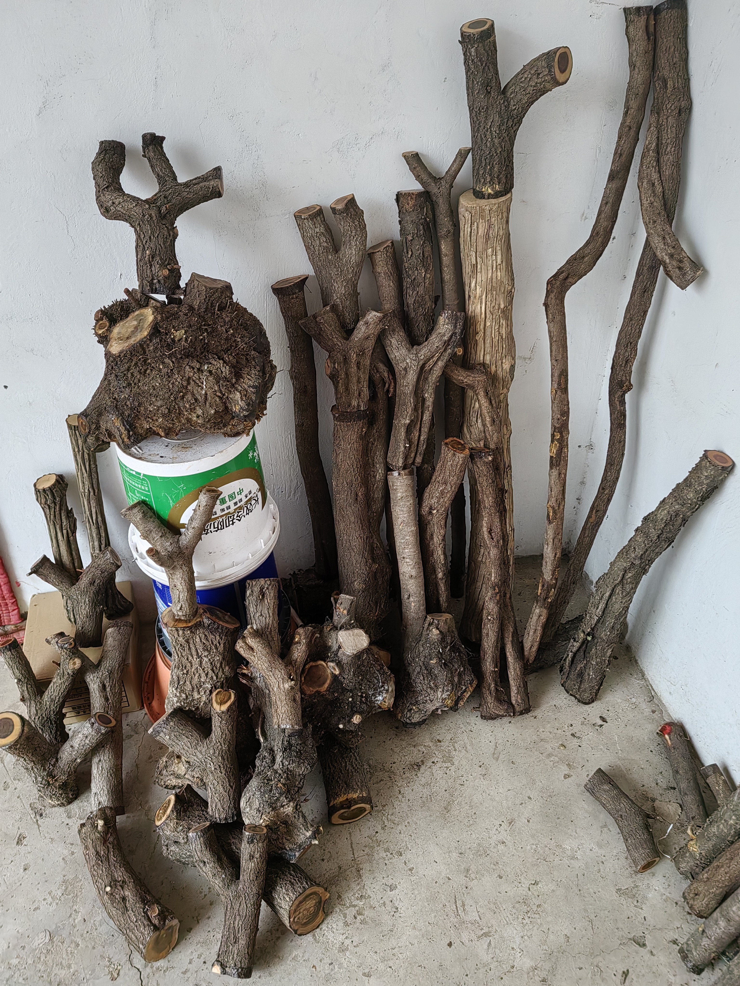 小卫 农村土特产