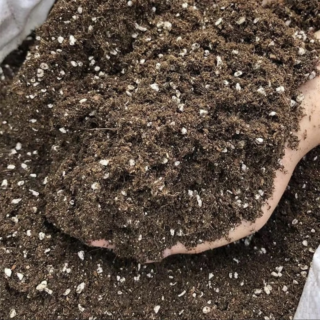 土肥花美月季绿植营养土种植土有机均衡营养土植物优质栽土
