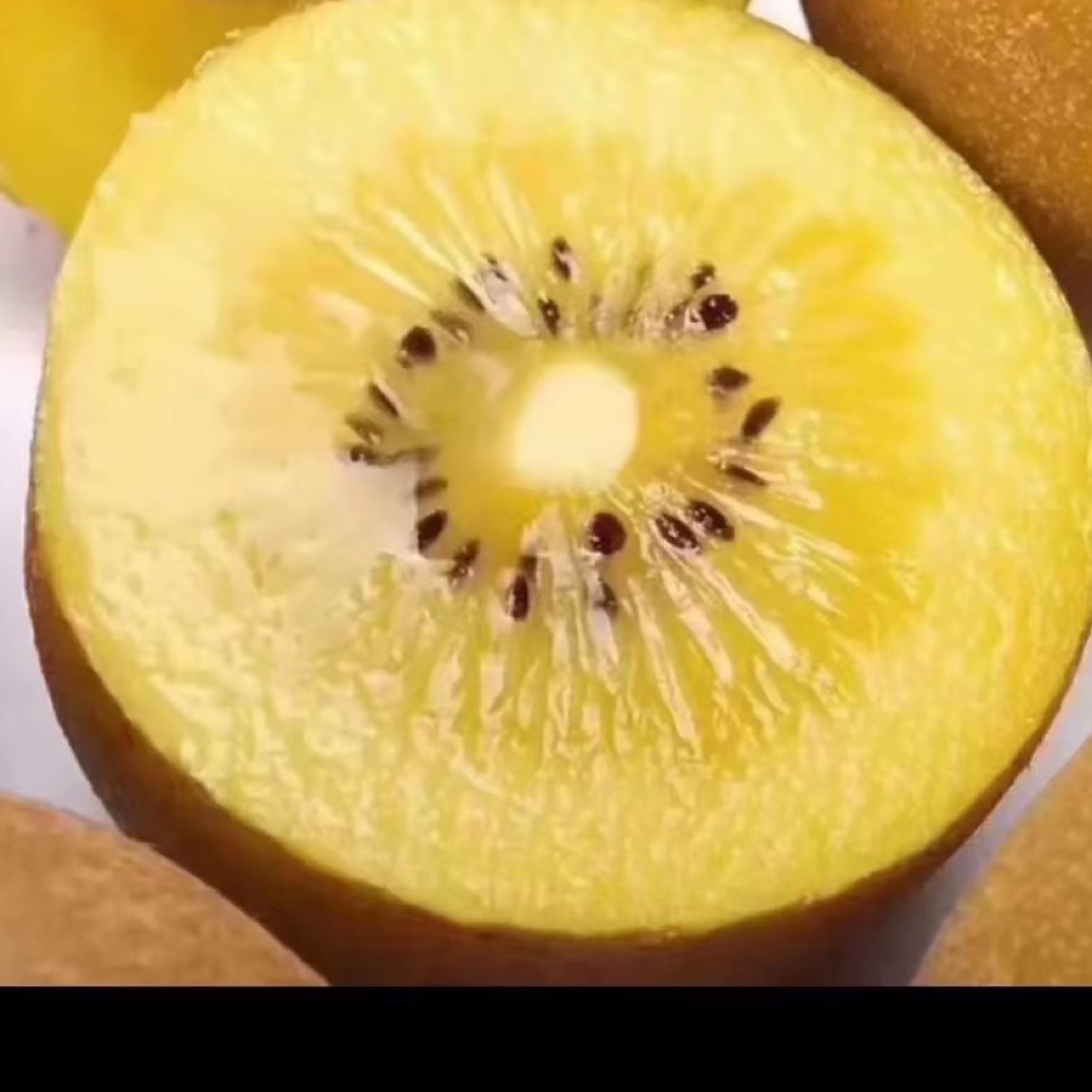 黔沛金奇异果12个装大果（单果100-120克）顺丰包邮