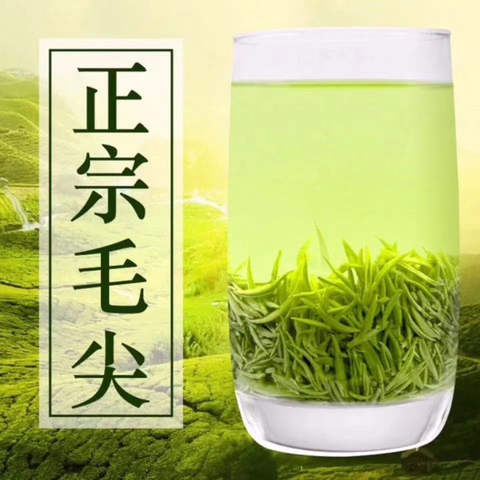 ［精选绿茶］特级信阳毛尖 2025明前头采手工小小芽杏山云雾嫩芽