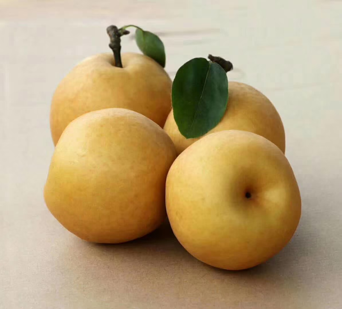 江西抚州金溪蜜梨翠冠套袋梨中小果16－19个约九斤