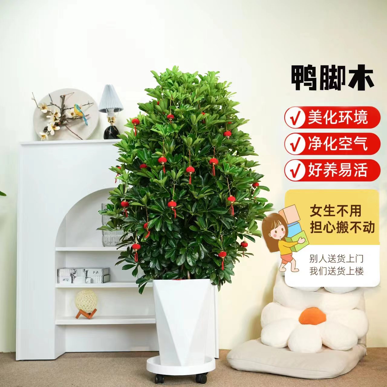 鸭脚木盆栽八方来财客厅绿植花卉室内大型鸭掌木七叶莲招财发财树