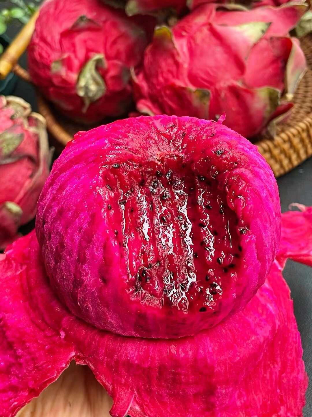 蜜宝火龙果50果（3个）