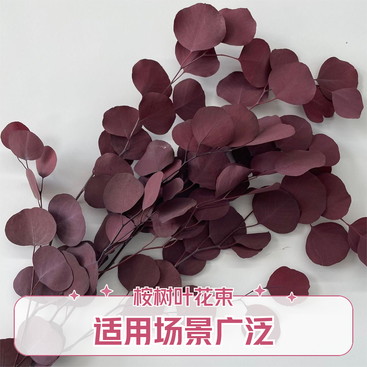 云南永生苹果叶桉树叶尤加利叶DIY工艺材料花束