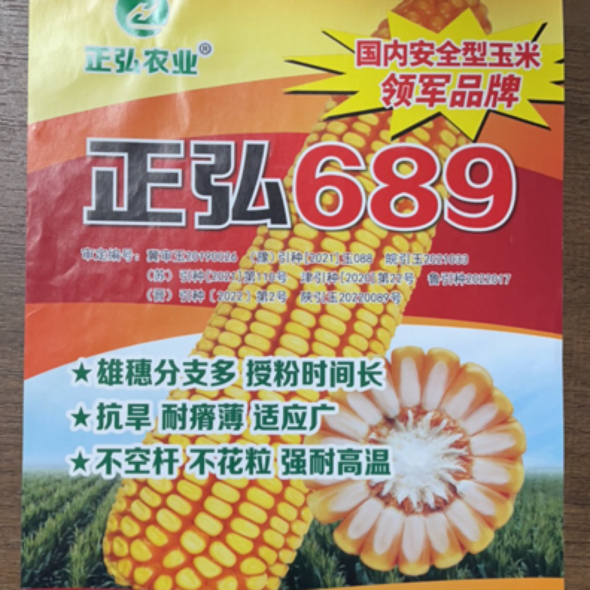 优质玉米品种高产抗病抗倒大穗玉米正弘689