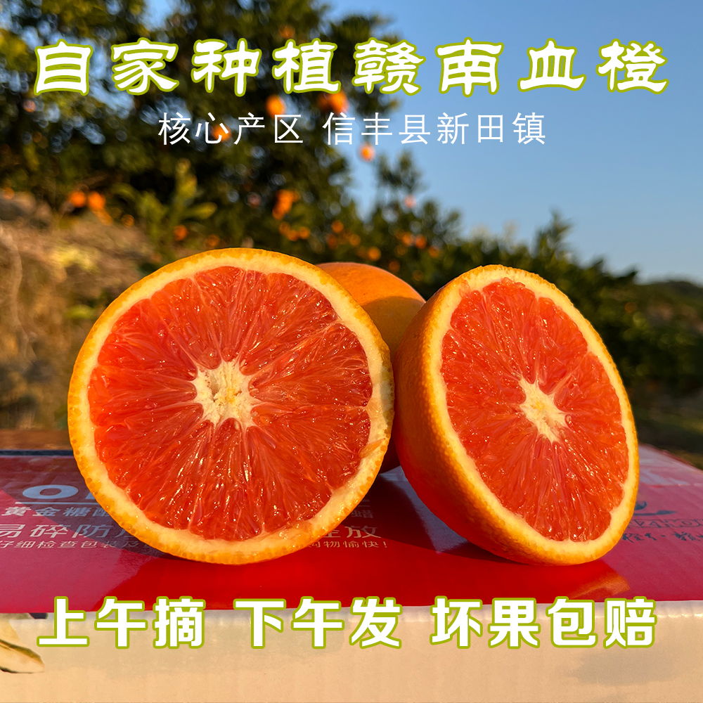 【京东快递】正宗赣南信丰血橙自家果园直发孕妇儿童秋冬水果
