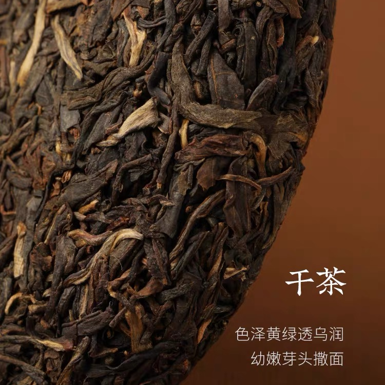2019 福今乔木生态沱茶 普洱茶生茶 500克/沱