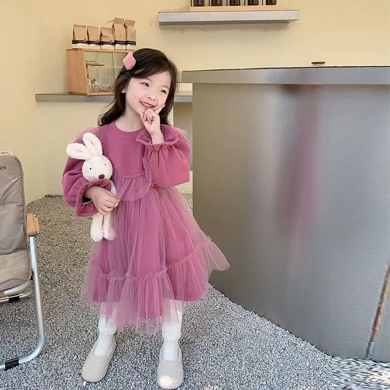 新款女童公主裙韩版秋冬款加绒连衣裙中小女童气质拼接仙女网纱裙