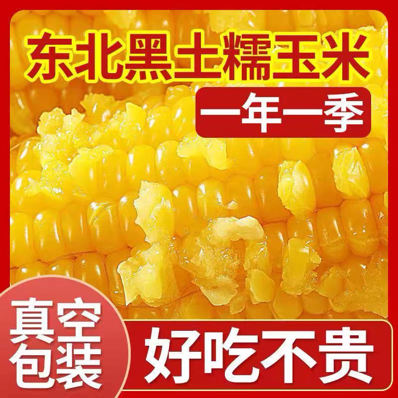 【8-10根】东北黑土黄糯玉米软糯香黏玉米味浓真空锁鲜均重280～300g