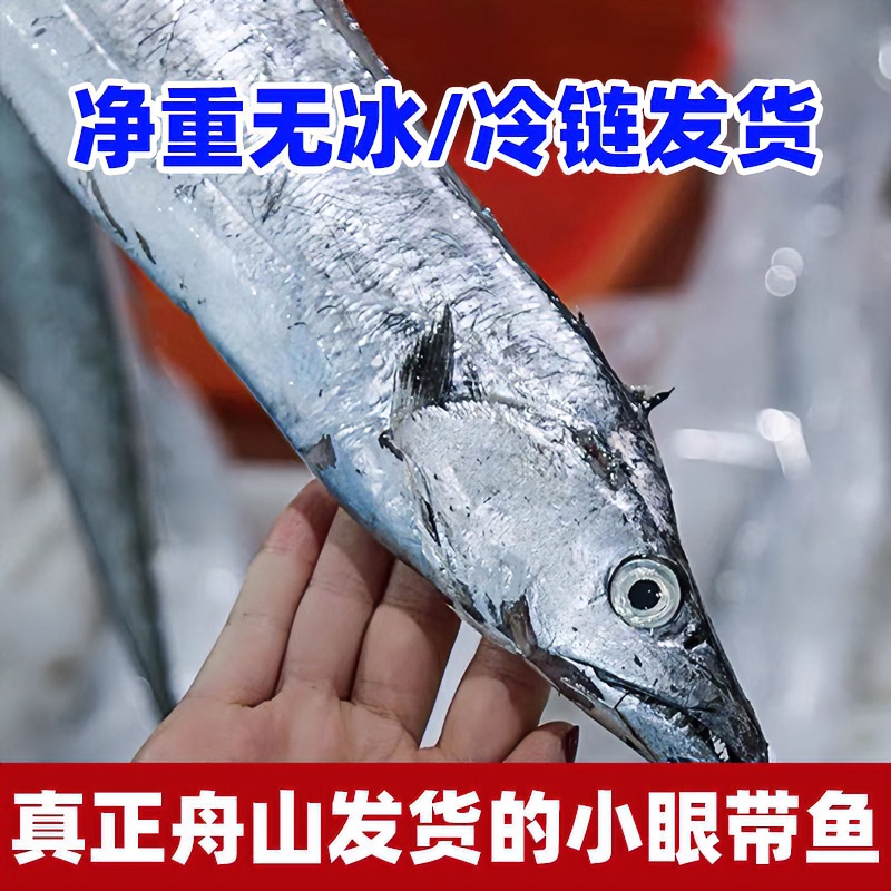 舟山海鲜 新鲜 速冻小眼睛油带鱼 大刀鱼 5斤一份 
