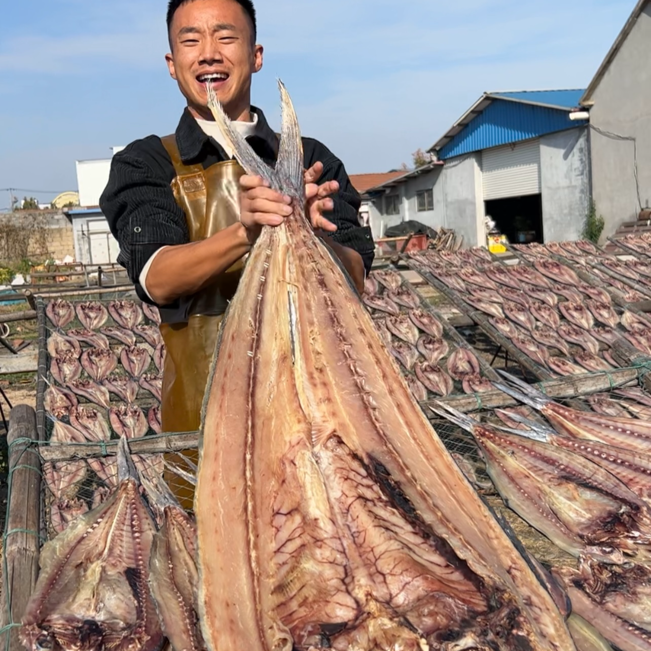 【稀有】 特大鱼1条6斤到10斤咸刀鲅鱼干  肉质厚实肥 红烧油炸  