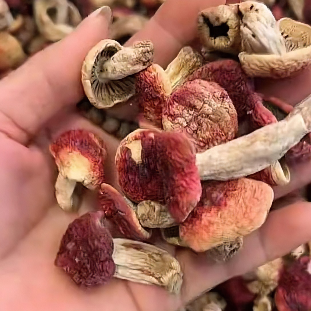 莫儿推荐福建特产红菇丁500g