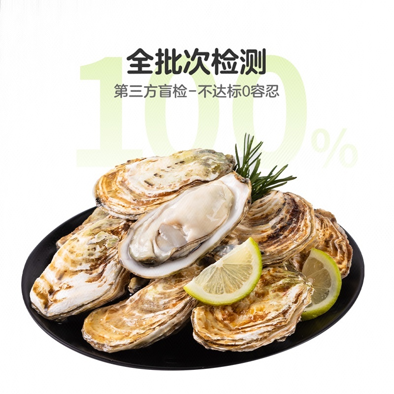 鲜活净化生蚝6-7只 950g