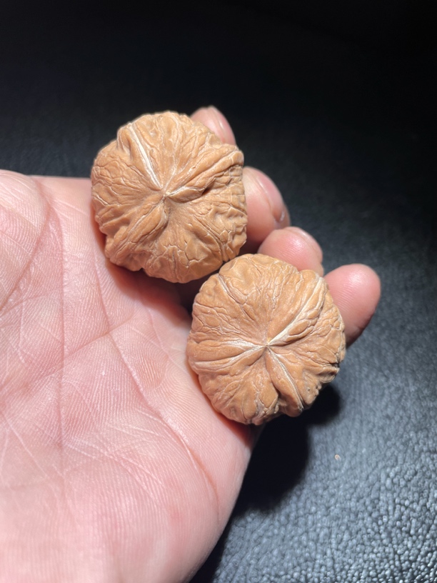 元宝三棱，尺寸35