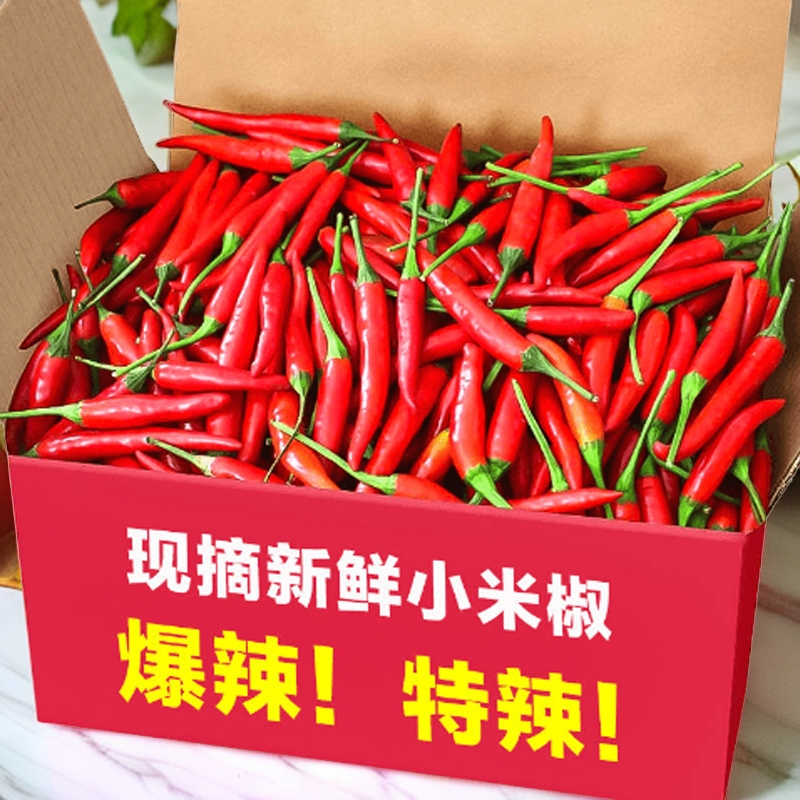 【限量抢5斤】现摘云南新鲜小米辣椒巨辣小米辣椒朝天椒小辣椒250g