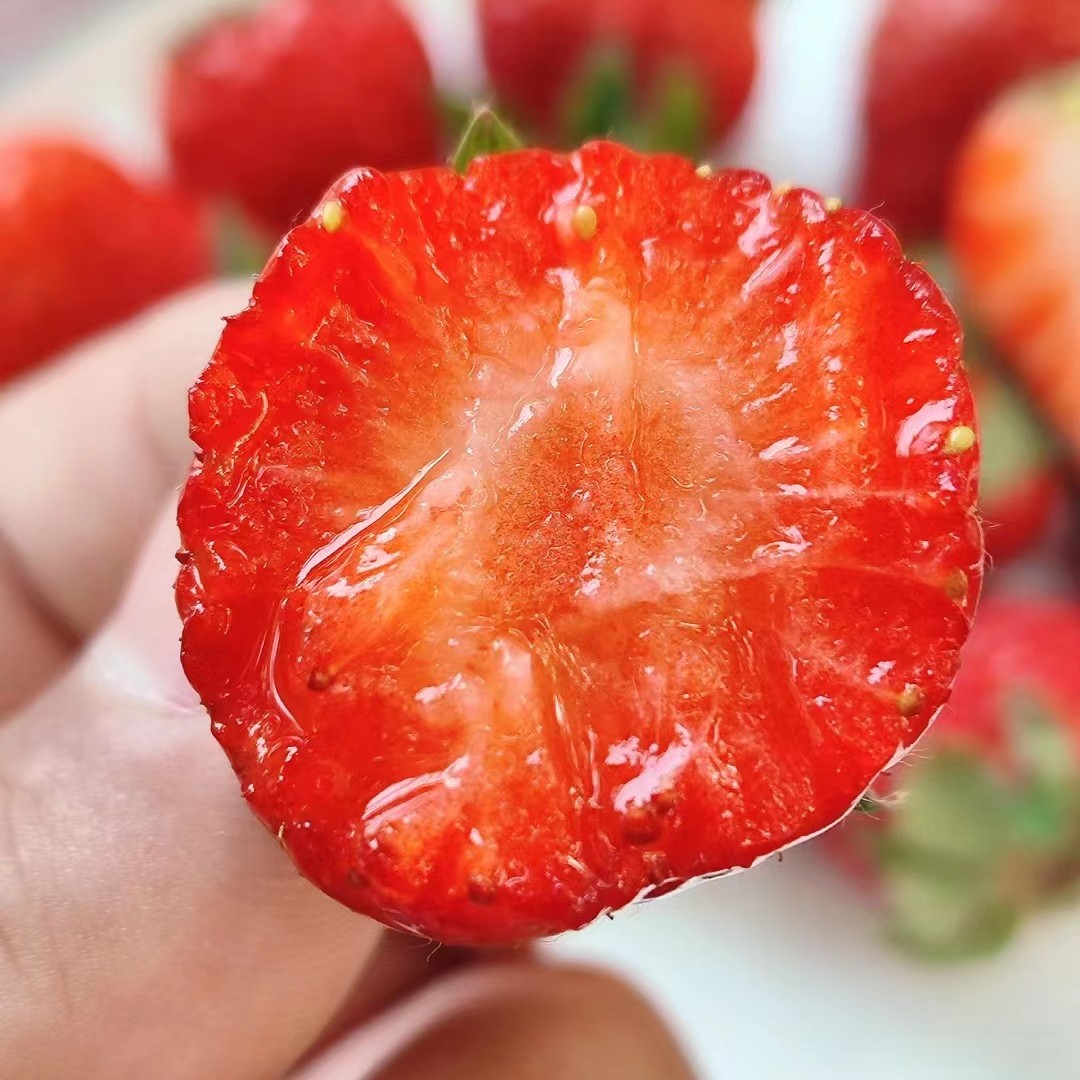 丹东九九草莓大果一大板毛重4.5斤左右