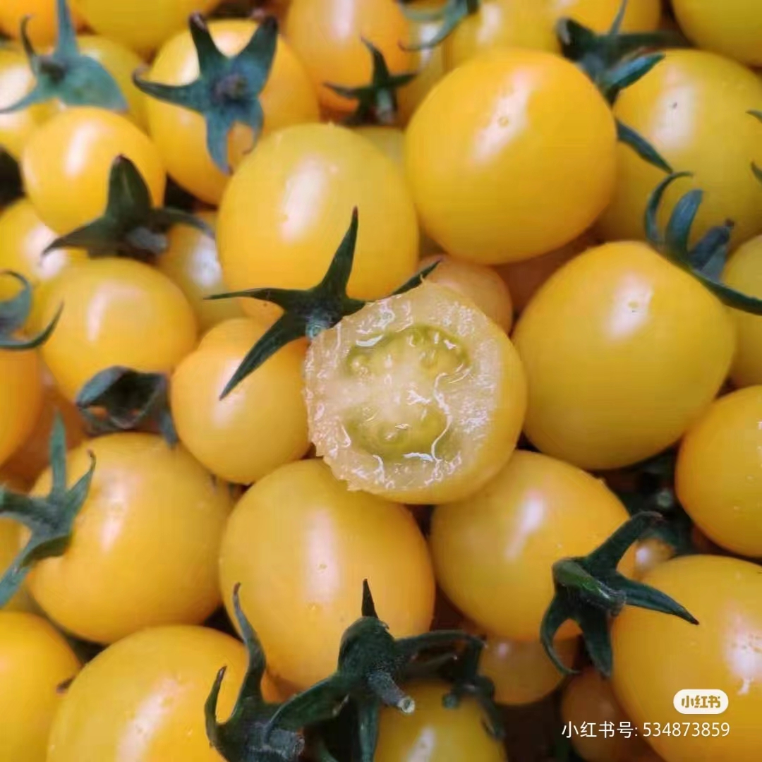黄珠柿子一盒一斤