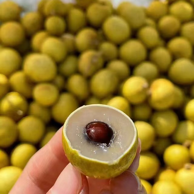 鲜龙眼一盒2斤左右
