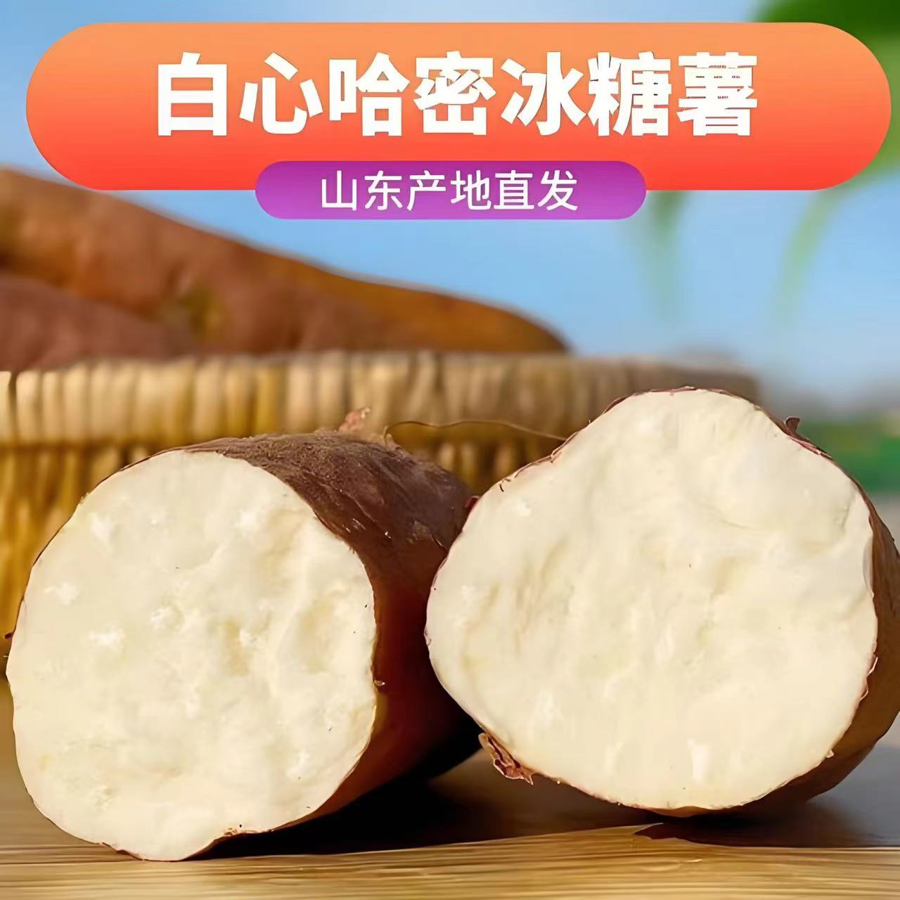 山东白哈密地瓜沙地白哈密冰糖薯新鲜白心蜜薯地瓜白薯哈密薯地瓜