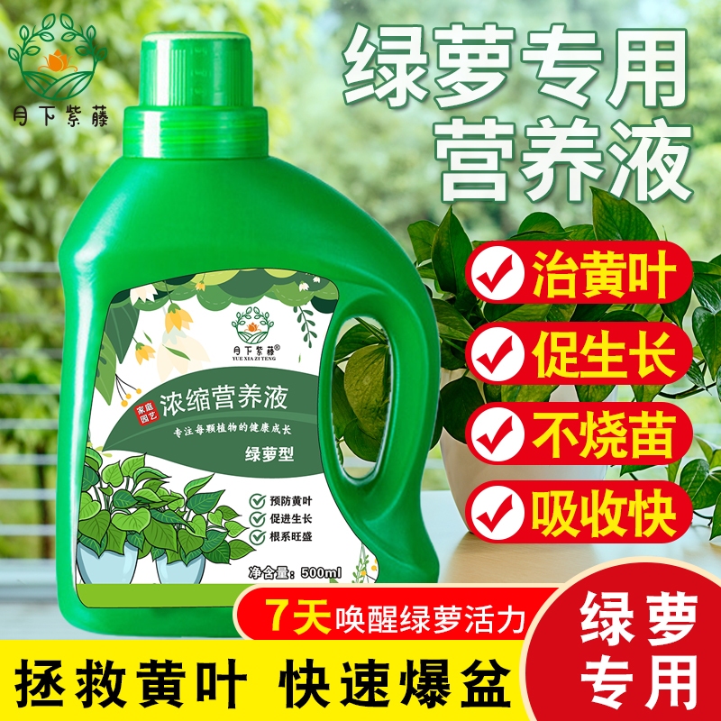 绿萝专用浓缩型植物营养液通用型绿植肥料生根壮苗叶黄促生长园艺