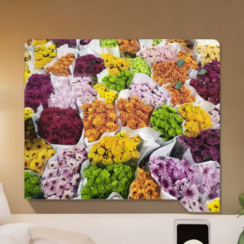 【新疆包邮】单色小雏菊颜色随机鲜花家居办公