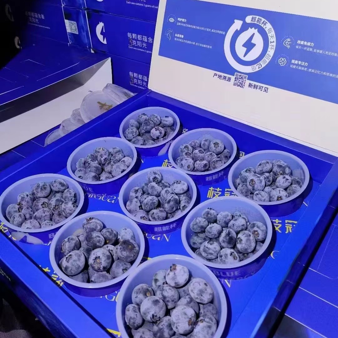 【阿良甄选】云南枝冠蓝莓9杯装单杯100g新鲜水果顺丰包邮
