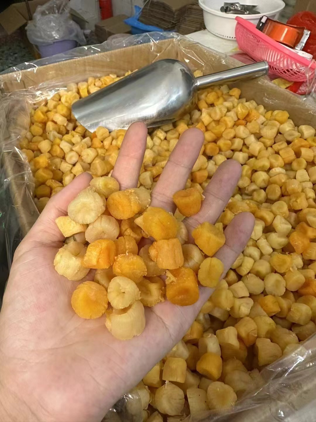 湛江渔民自晒大红贝250g/500g