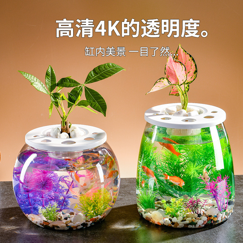 璁珑简约耐碰耐摔塑料透明带盖水培鱼缸客厅办公室桌面小型摆件金