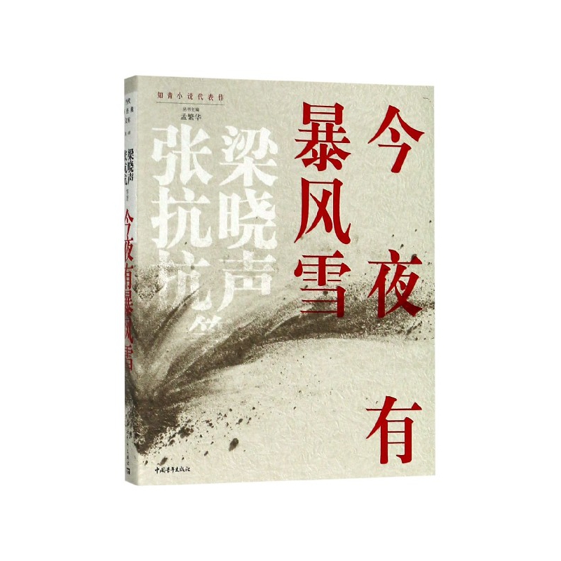 博库 今夜有暴风雪 书籍 正版图书推荐 中国青年出版社