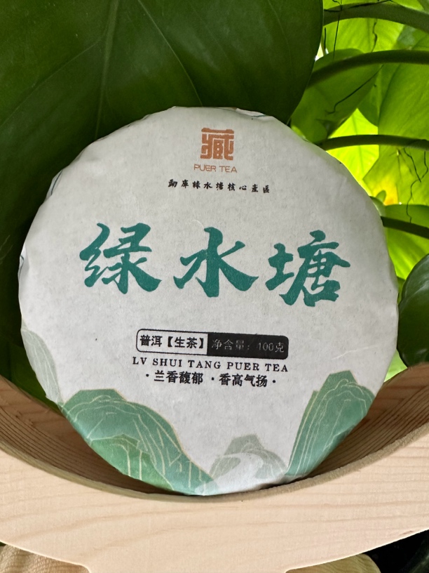 23年冰岛湖绿水塘大树头春生茶100克饼