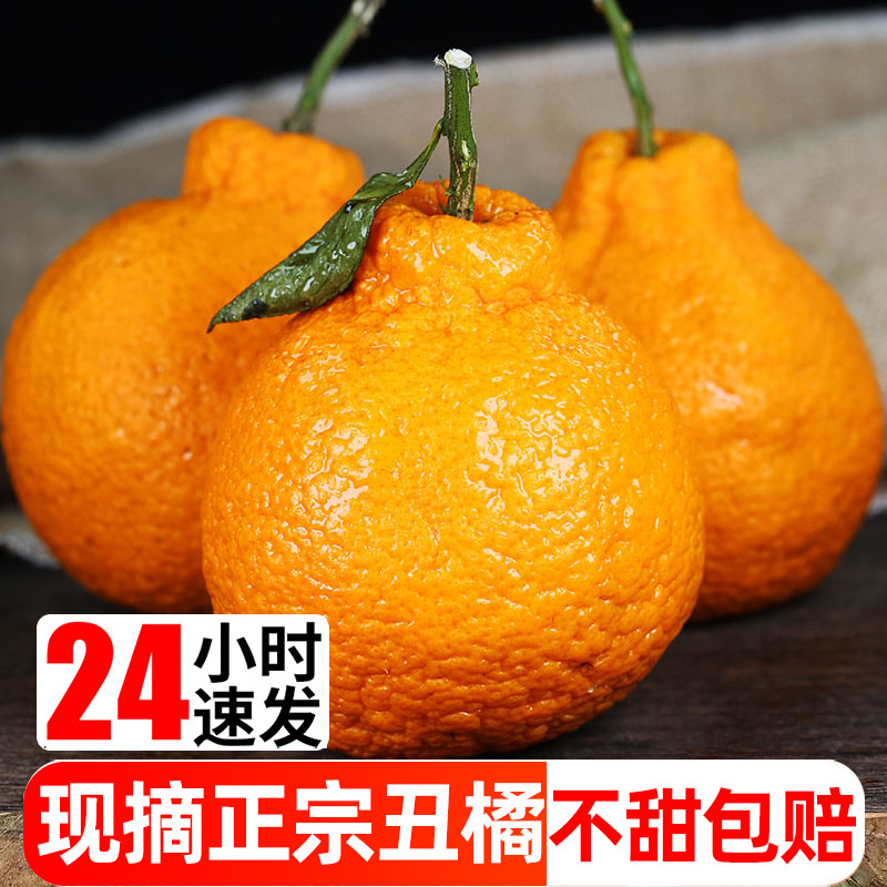 【小扬哥推荐】丑八怪丑橘耙耙柑橘子新鲜10斤蜜橘桔子当季时令水