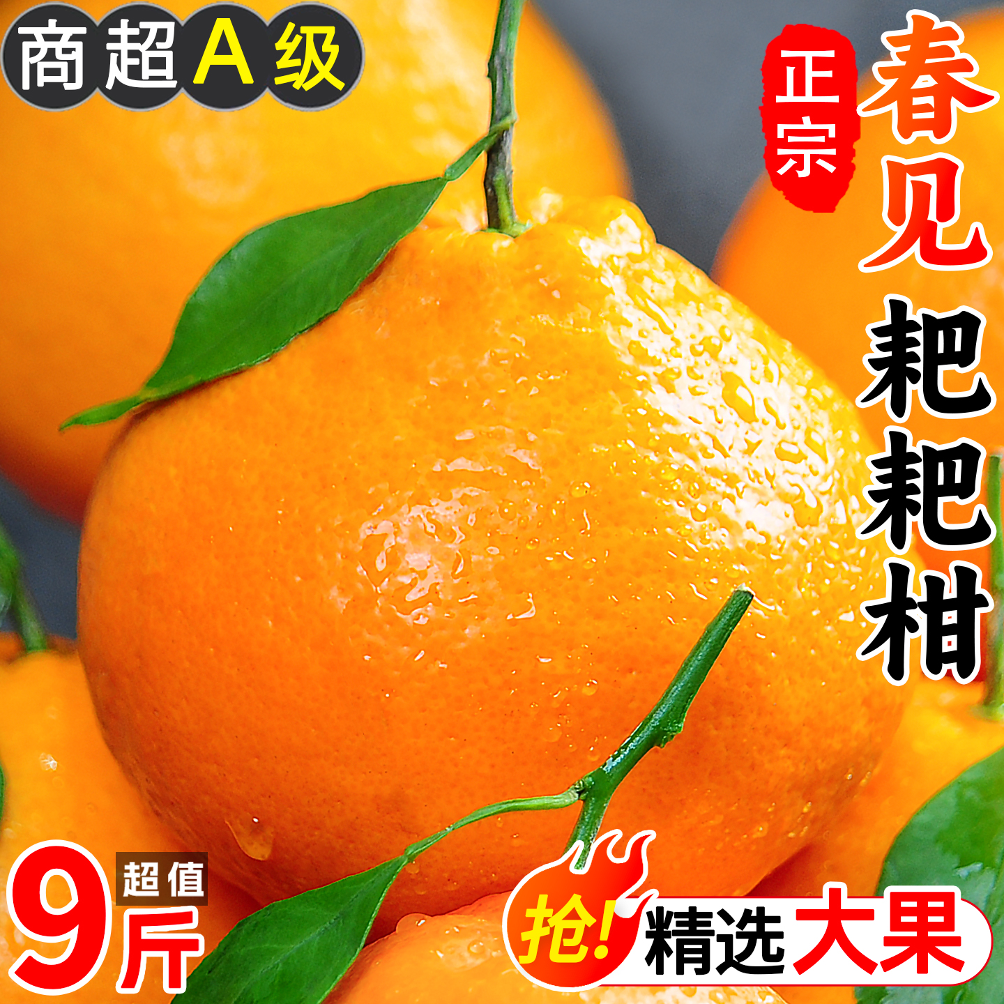 【小扬哥推荐】四川春见耙耙柑粑粑柑正宗水果新鲜整箱当季丑桔橘