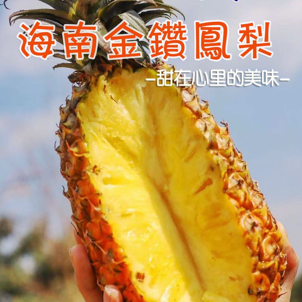 正宗原产地海南金钻凤梨新鲜当季水果手撕无眼台湾凤梨非菠萝