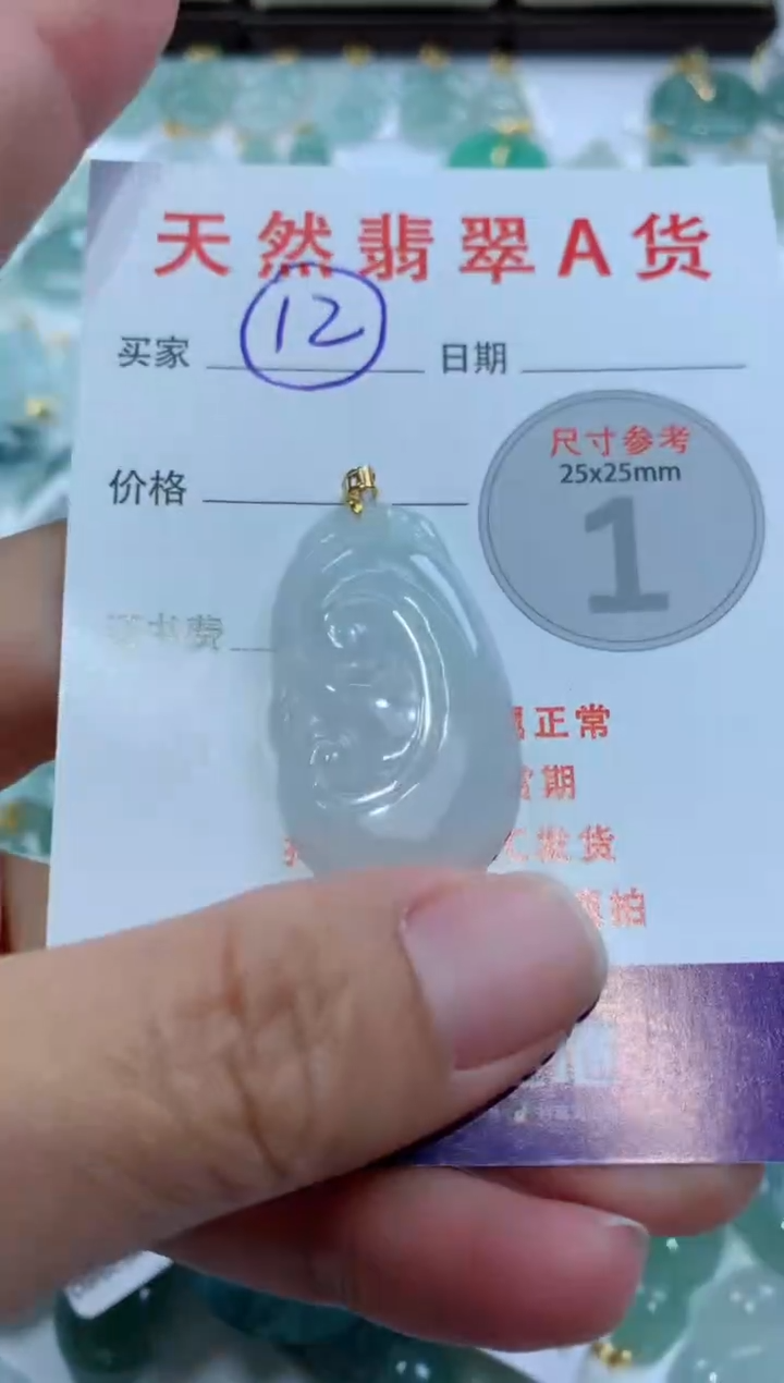 【闪购商品】翡翠颈饰未镶嵌天然A货翡翠
