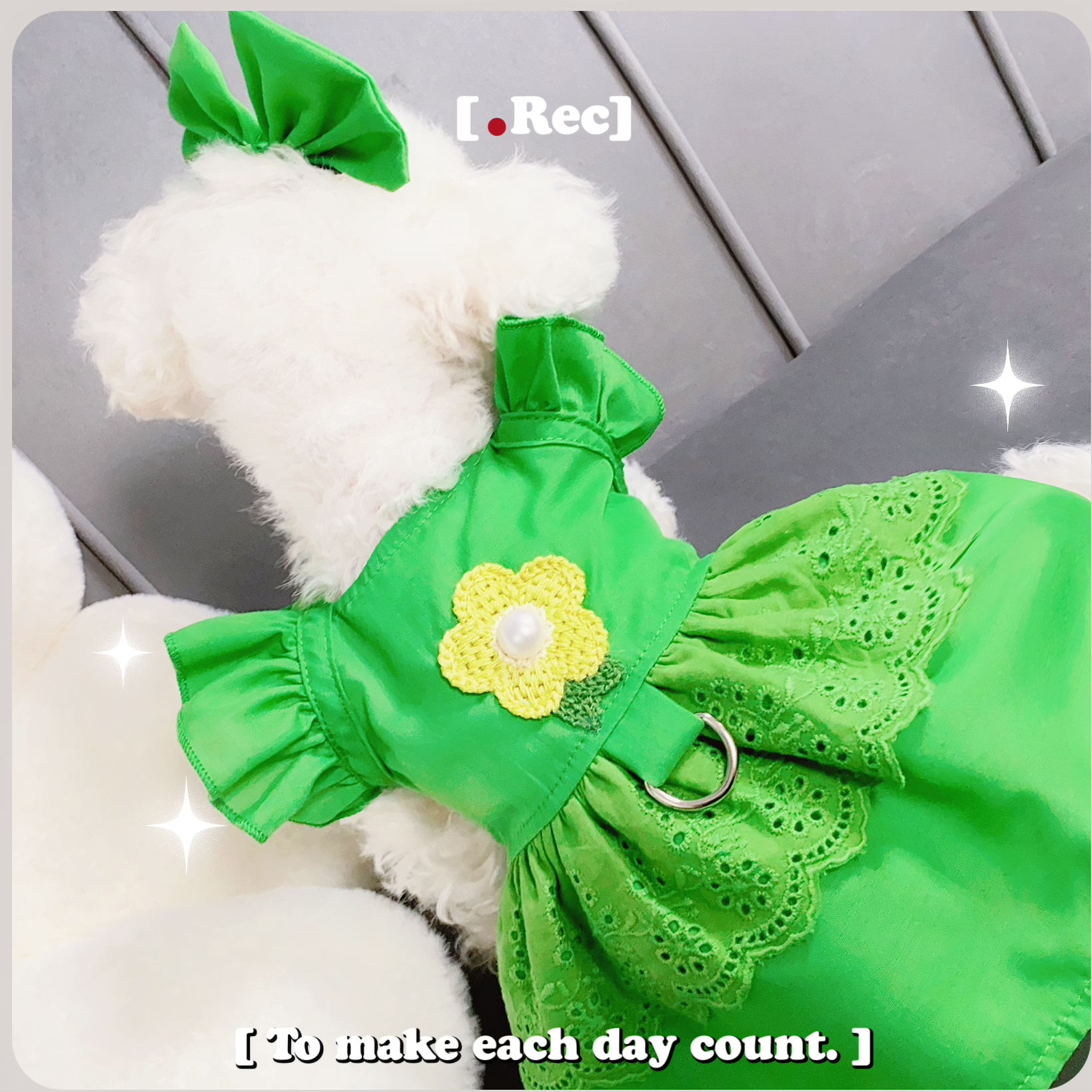 【浅浅初夏】【养宠装备】原创可牵引猫狗通用飞飞袖夏日清凉连衣裙