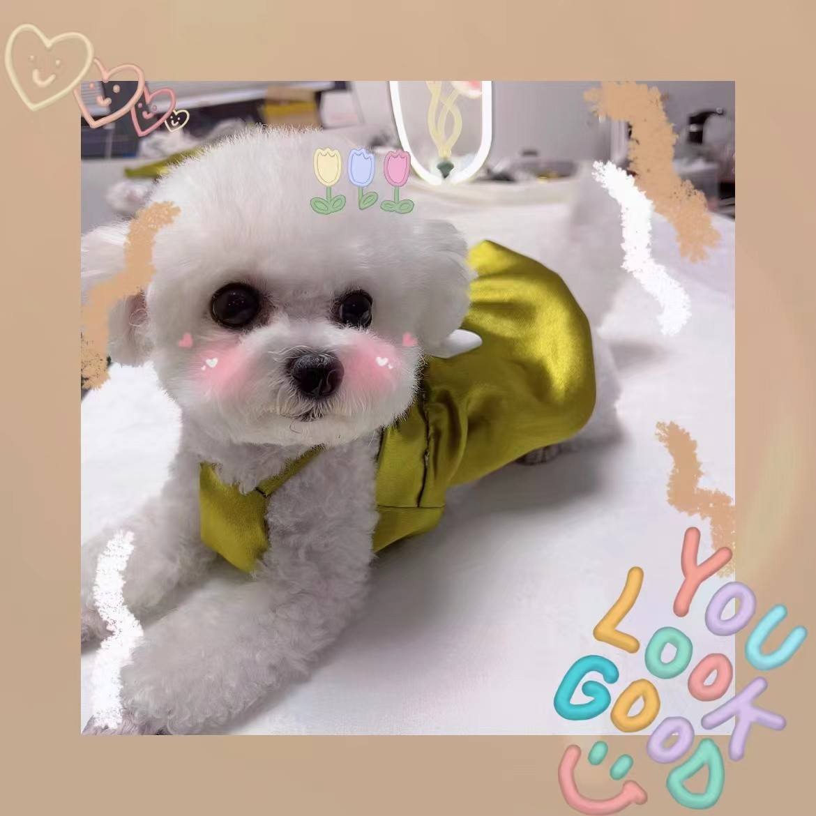 优雅丝滑小香风吊带裙小型犬泰迪比熊约克夏