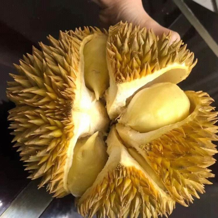 金枕榴莲7.5斤左右一个（潍坊同城小时达扒肉请备注）