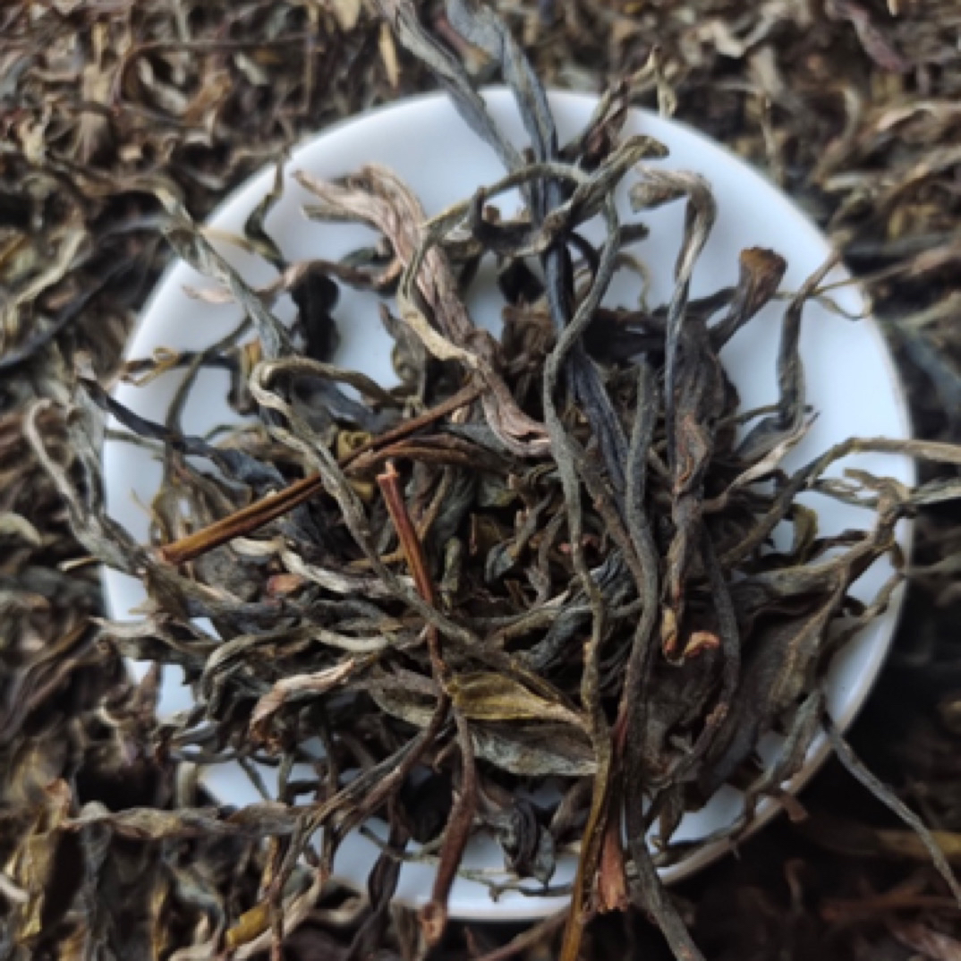 【朴味散茶】云南哀牢山森林古树茶普洱茶生茶古树春茶纯料