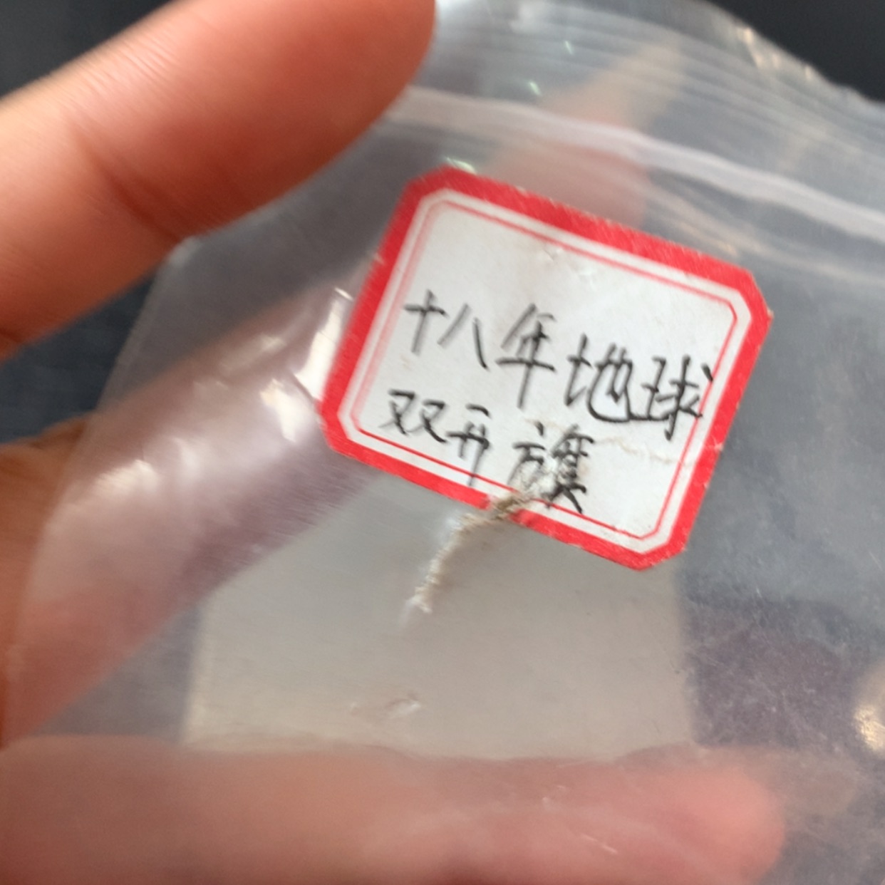 【闪购商品】十八年双开期地球币
