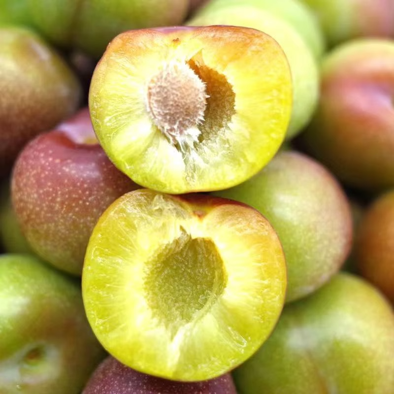 正宗高山脱骨李脆李子脆李子新鲜水果冰糖脱骨李百