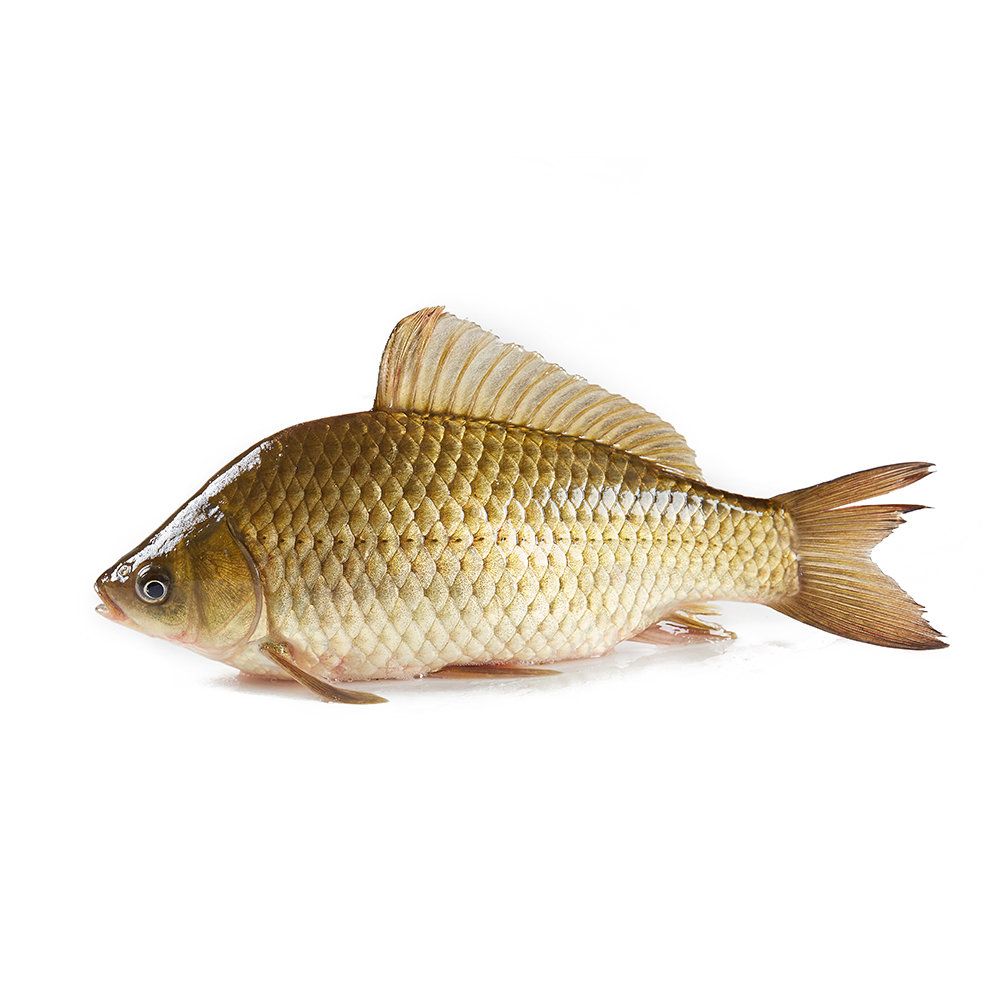 鲜活 鲫鱼 300-400g/条